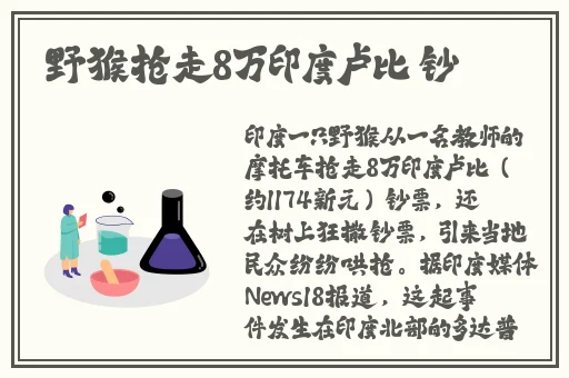 日本矿转码转2023